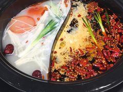 鸳鸯锅-钢管厂五区小郡肝火锅串串香(总店)