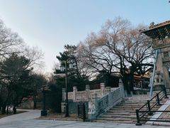 -北陵公园
