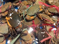 -宴立方海鲜自助(义乌万达广场店)