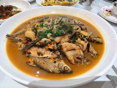 -全乐鱼馆·淳牌有机鱼直营店