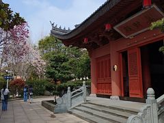 -上海东林寺(金山区)