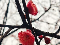 -白塘生态植物园