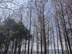 -云龙山