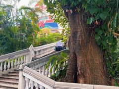 -广州市白云山风景名胜区