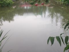 -洪湖家庭农场·团建·露营·会议