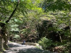 -本溪汤沟绿石谷森林公园