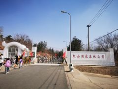 -红山国家森林公园