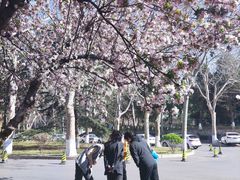 -山东师范大学(千佛山校区)