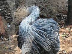 -无锡动物园·太湖欢乐园
