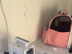 -美联众合动物医院·24h京西诊疗中心