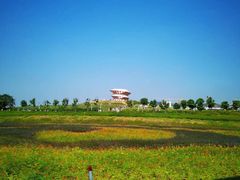 -光明小镇欢乐田园