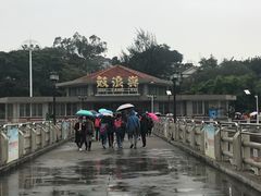 -国际邮轮中心码头(厦鼓码头)