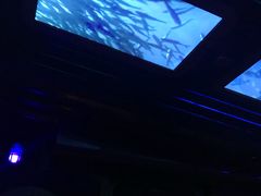 -海洋公园海洋列车－海滨站