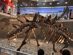 -国家自然博物馆