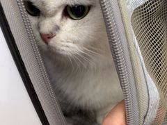 -瑞派康怡24h宠物医院·犬猫医疗中心·微创绝育(瑞景分院)