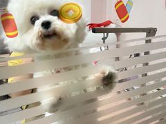 -丹东丛炟海鲜烧烤(江艺路店)