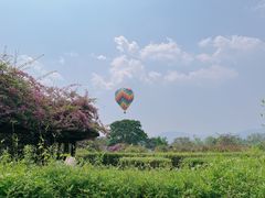 -中国科学院西双版纳热带植物园