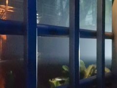 -侏罗纪世界电影特展(广州站)