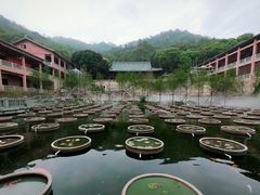 -石峰岩寺