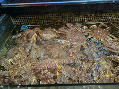 -海鲜e族(马王堆店)