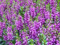 -中国杭州低碳科技馆