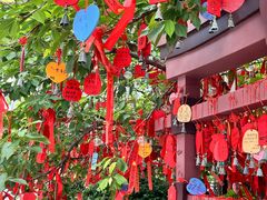 -祥源·阜阳生态乐园