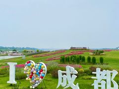 -空港花田景区