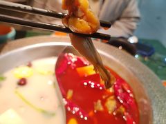-麻田会 ·鲜活现烹·牛蛙火锅(珠江新城维家思广场店)