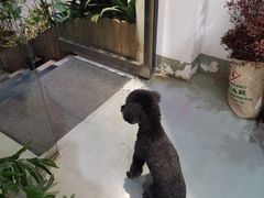 -唐咖精品咖啡(大理古城手冲店)