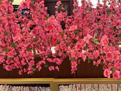 -刘一锅筋头巴脑(大悦城C店)