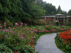 -庐山风景区花径公园