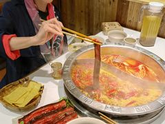 -朱氏胖子烂火锅(洪崖洞店)