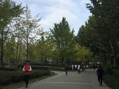 -AdD全日制餐厅(中谷花园酒店)