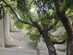 -湖北美术学院(昙华林校区)