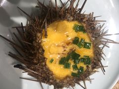 海胆蒸蛋-新海渔港·胶东海鲜家常菜·家宴(奥体中心店)