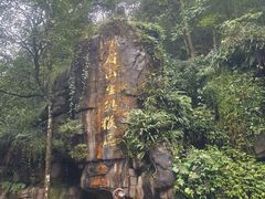 -峨眉山风景名胜区