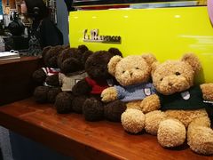 -咖法森林·咖啡  酒吧(天河店)