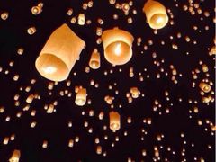 iphone_upload_pic-菩提树·素食餐厅(汇智国际商业中心店)