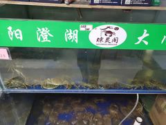 水产区-阳澄湖大闸蟹·琼灵阁牌品牌连锁(吴中总店)
