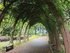 -滨湖塘西河公园