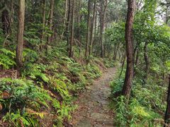 -黄陂区野村谷景区