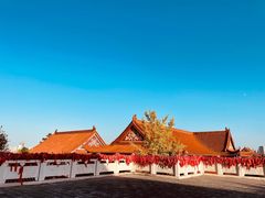 -开福禅寺