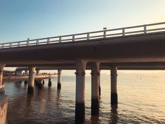 -演武大桥观景平台