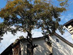 -小河直街历史文化街区