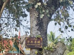 -西双版纳傣族园