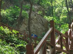 -大岭沟猕猴桃谷风景区