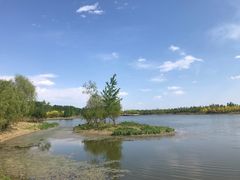 -东郊湿地公园