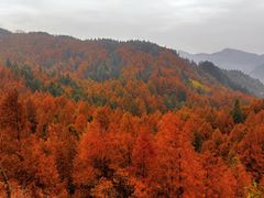 -山王坪喀斯特国家生态公园