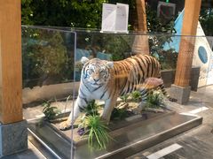 -弘安丽水温泉酒店