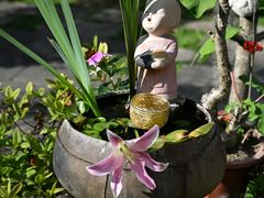 -西双版纳傣族园-曼春满佛寺